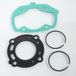 P2r proconcept 2 roues (p2r) cilinder voor scooter Peugeot 50 Speedfight 3 (2009-2015) - Gietijzer - 39,9mm