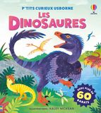 Les Usborne P'tits curieux Les dinosaures Kartonboek