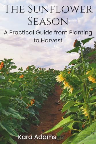 The Sunflower Season: A Practical Guide from Planting to Harvest