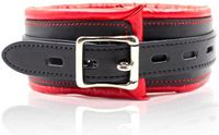 FETISH ADDICT - Collar With Metal Leash Padded Interior Red/black