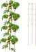 Merkloos / Sans marque Relaxdays Tomatensteun Set van 2