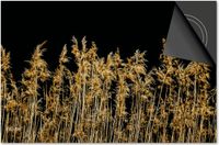 Dietrix Inductie Beschermer - 81x52cm - Black en Gold - Gras pluimen
