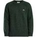 Lacoste Trui Wolbreisel