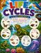 Life Cycles