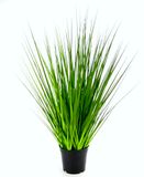 Flair Flower Gras in pot, kunststof, groen, 60 x 20 x 20 cm