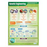 Fotoposter Daydream Education Fotoposter Genetic Engineering, glanzend, 850 mm x 594 mm (A1)