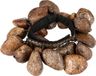 Meinl FR1P Pangi Seeds Foot Rattle - Shaker