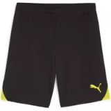 Puma Korte Puma TeamGloal