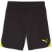 Puma Korte Puma TeamGloal