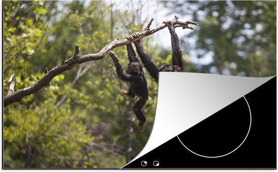 KitchenYeah® Inductie beschermer 77x51 cm - Twee chimpansees hangend aan een tak - Inductie beschermer