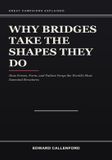 Why Independently Published Why Bridges Take the Shapes They Do Paperback