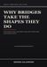 Why Independently Published Why Bridges Take the Shapes They Do Paperback