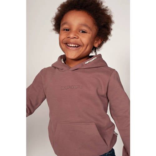 Sturdy Rock the Earth Sturdy hoodie - mauve