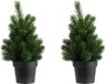 Billiet - Vanlaere 2x stuks arbre artificiel/arbre de Noël artificiel vert 22 cm