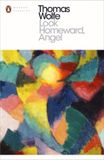 Look Penguin Classics Look Homeward Angel Paperback