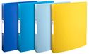 Exacompta 4 halfstevige ringbanden Bee Blue A4 2 ringen assorti
