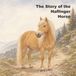The Herrington Family The Story of the Haflinger Horse Paperback