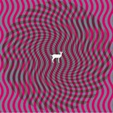 Cryptograms Deerhunter - Cryptograms (2 LP) (Coloured Vinyl)