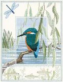 Derwentwater Designs Wildlife Foto kit: IJsvogel