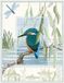 Derwentwater Designs Wildlife Foto kit: IJsvogel