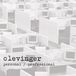 Personal Clevinger Personal / Professional
