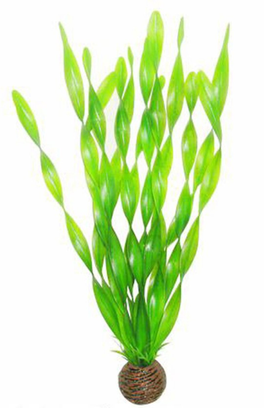 SuperFish easy plants hoog nr. 6, van plastic 30 cm - 1 ST