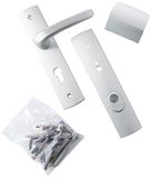 Bricard 9920071 Set met afgeschermde handgrepen, op bord, standaard en spoiler voor ingangsdeuren (voor Europese cilinders), zilverkleurig