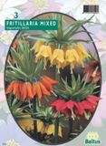 Baltus Fritillaria Imperialis Mixed per 3