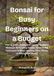 Bonsai for Busy Beginners on a Budget