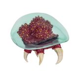 JAKKS Pacific Nintendo Metroid Prime Actiefiguur 15,2 cm