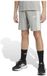 Adidas Essentials Korte Broek Grijs 11-12 Years Kinderen