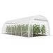 Serre tunnel de jardin de 18 m², 296 x 597 x 199 cm, structure en acier galvanisé, film PE transparent de 150 g/m²