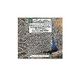 Violin Warner Music Distribution Inc. : Le songe dune nuit dete, Concerto pour v CD