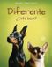 Diferente Libri GmbH Diferente Paperback 11 juni 2026