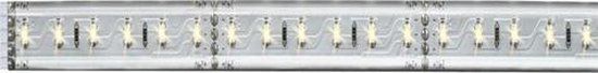 Paulmann MaxLED 500 LED-strip blanc chaud 100 cm argenté revêtu
