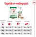 Royal Canin Mini Adult Hondenvoer - 4 x 4 kg