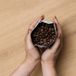 Caprisette Koffiebonen Caprisette Professional, 250 g