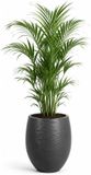 EDA Bloempot / plantenpot Graphit - rond - kunststof - antraciet - D50 x H60 cm - dubbelwandig - buiten