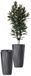 Bloempot Cylindrique Haut pour Intérieur et Extérieur avec Soucoupe Amovible - 35 x 60 cm - Mocca