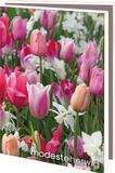 Bekking & Blitz - Wenskaartenmapje - Set wenskaarten - Kunstkaarten - Museumkaarten - Uniek design - 10 stuks - Inclusief enveloppen - Bloemen - Tulpen - Hyacinten - Modeste Herwig