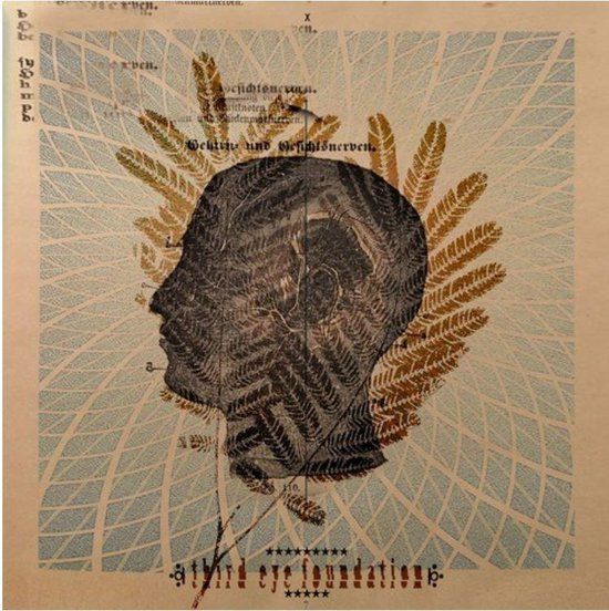 Wake the Dead - LP - Third Eye Foundation