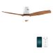 Cecotec EnergySilence Aero 5600 Aqua Plafondventilator met Licht, Houtkleur, 132 cm