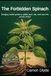 The Forbidden Spinach: Stinging nettle guide to safely pick, eat, and use this prickly weed