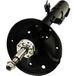 Maxgear Amortisseur Pour Toyota Rav 4 Ii 4852049615