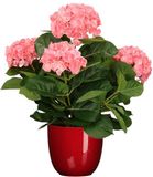 Mica Decorations Hortensia kunstplant/kunstbloemen 45 cm - roze - in pot rood glans - Kunst kamerplant