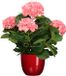 Mica Decorations Hortensia kunstplant/kunstbloemen 45 cm - roze - in pot rood glans - Kunst kamerplant