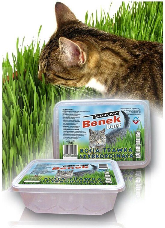 Comida Kattengras kit - Eten Certech 10319 - vers gras