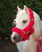 QHP Alaska Halster Roze Full Imitatiebont