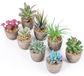 Set de 8 plantes artificielles avec pots gris - décoration intérieure et extérieure