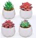 Unyqoos® 4 pièces petites mini plantes artificielles, succulentes avec pot